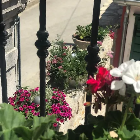 House Of Milka Vakantiehuis Zadar