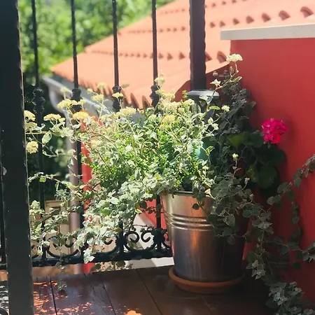 Vakantiehuis House Of Milka Zadar