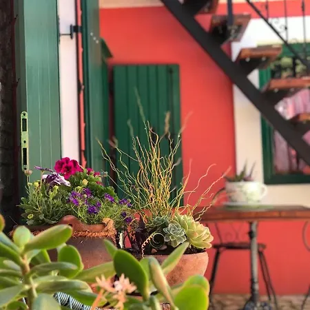 House Of Milka Zadar