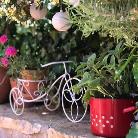 House Of Milka Vakantiehuis *