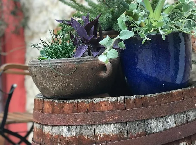 House Of Milka Zadar