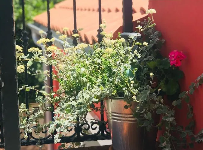 Vikendica House Of Milka Zadar